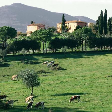 Poggiovalle Tenuta Italiana Belvedere  Εξωτερικό φωτογραφία