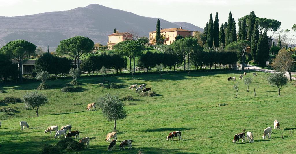 Poggiovalle Tenuta Italiana Belvedere  Εξωτερικό φωτογραφία